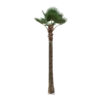 GloboStar® GloboStar® Artificial Garden PLANT PALM TREE 21057 Διακοσμητικό Δέντρο Φοίνικα  Φ240 x Υ600cm