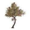 GloboStar® GloboStar® Artificial Garden MAPLE TREE 21058 Τεχνητό Διακοσμητικό Δέντρο Σφένδαμος Υ400cm