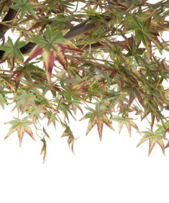Alternative view of GloboStar® Artificial Garden MAPLE TREE 21058 Τεχνητό Διακοσμητικό Δέντρο Σφένδαμος Υ400cm