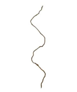 GloboStar® GloboStar® Artificial Garden DRY VINE 21067 Τεχνητό Διακοσμητικό Κλαδί Ξηρό Αμπέλι Μ8 x Π8 x Υ180cm - Σετ 10 τμχ