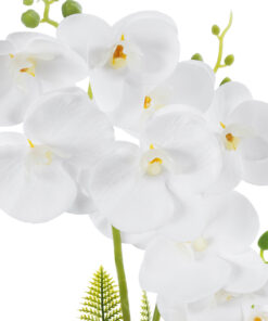 Alternative view of GloboStar® Artificial Garden WHITE ORCHID 21076 Διακοσμητικό Φυτό Λευκή Ορχιδέα Υ45cm