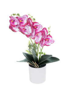 GloboStar® GloboStar® Artificial Garden PINK + FUCHSIA ORCHID 21079 Διακοσμητικό Φυτό Ροζ - Φούξια Ορχιδέα Υ45cm