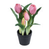 GloboStar® GloboStar® Artificial Garden PINK TULIP 21092 Διακοσμητικό Φυτό Ροζ Τουλίπα Υ23cm