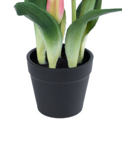 GloboStar® Artificial Garden PINK TULIP 21092 Διακοσμητικό Φυτό Ροζ Τουλίπα Υ23cm 9 21092 4
