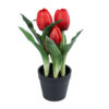 GloboStar® GloboStar® Artificial Garden RED TULIP 21094 Διακοσμητικό Φυτό Κόκκινη Τουλίπα Υ23cm