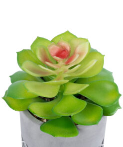 Alternative view of GloboStar® Artificial Garden SUCCULENT SEDEVERIA 21095 Διακοσμητικό Φυτό Παχύφυτο Σεντεβέρια Υ17cm