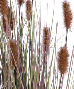 Alternative view of GloboStar® Artificial Garden BROWN LAGURUS 21099 Διακοσμητικό Φυτό Καφέ Λαγοουρά Υ70cm