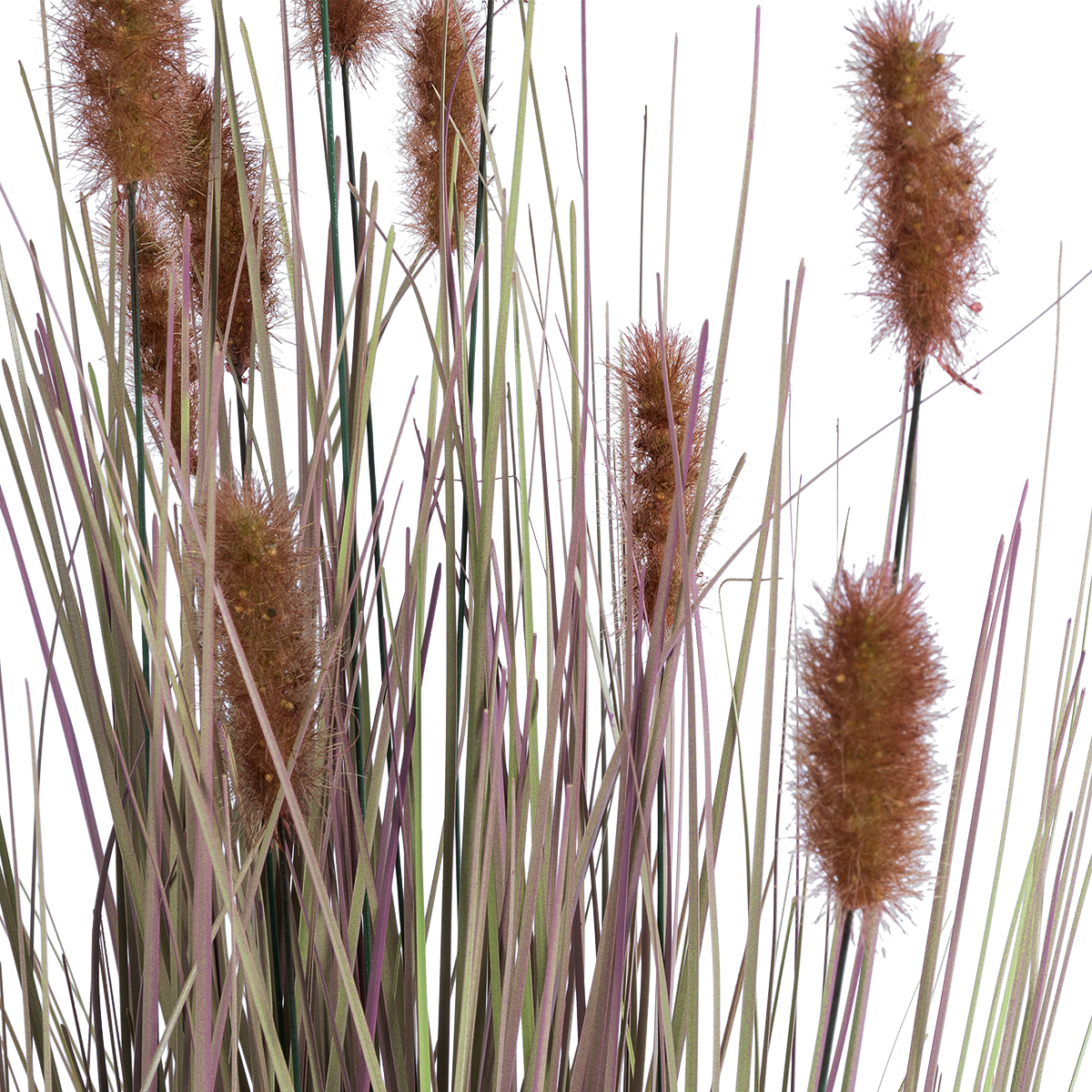 GloboStar® Artificial Garden BROWN LAGURUS 21099 Διακοσμητικό Φυτό Καφέ Λαγοουρά Υ70cm 4 GloboStar® Artificial Garden BROWN LAGURUS 21099 Διακοσμητικό Φυτό Καφέ Λαγοουρά Υ70cm - Image 2