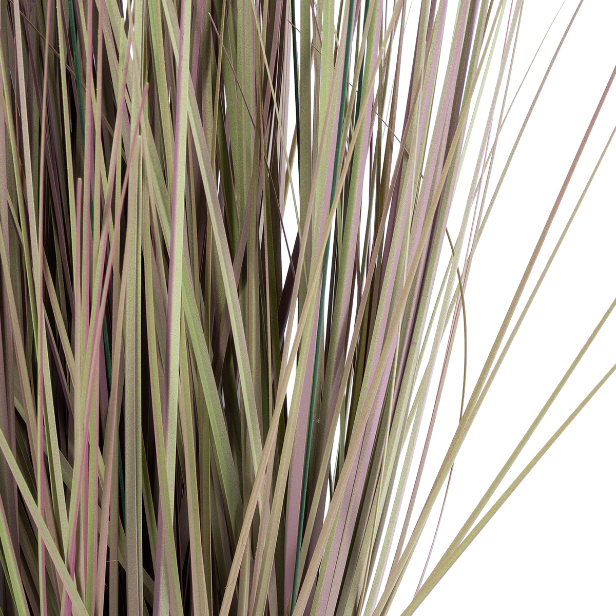 GloboStar® Artificial Garden BROWN LAGURUS 21099 Διακοσμητικό Φυτό Καφέ Λαγοουρά Υ70cm 5 GloboStar® Artificial Garden BROWN LAGURUS 21099 Διακοσμητικό Φυτό Καφέ Λαγοουρά Υ70cm - Image 3