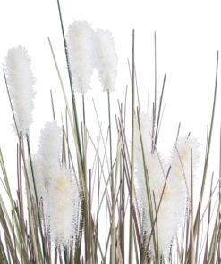 Alternative view of GloboStar® Artificial Garden BEIGE LAGURU 21100 Διακοσμητικό Φυτό Μπεζ Λαγοουρά Υ70cm