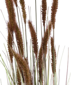 GloboStar® Artificial Garden BROWN LAGURUS 21101 Διακοσμητικό Φυτό Καφέ Λαγοουρά Υ140cm 9 21101 3