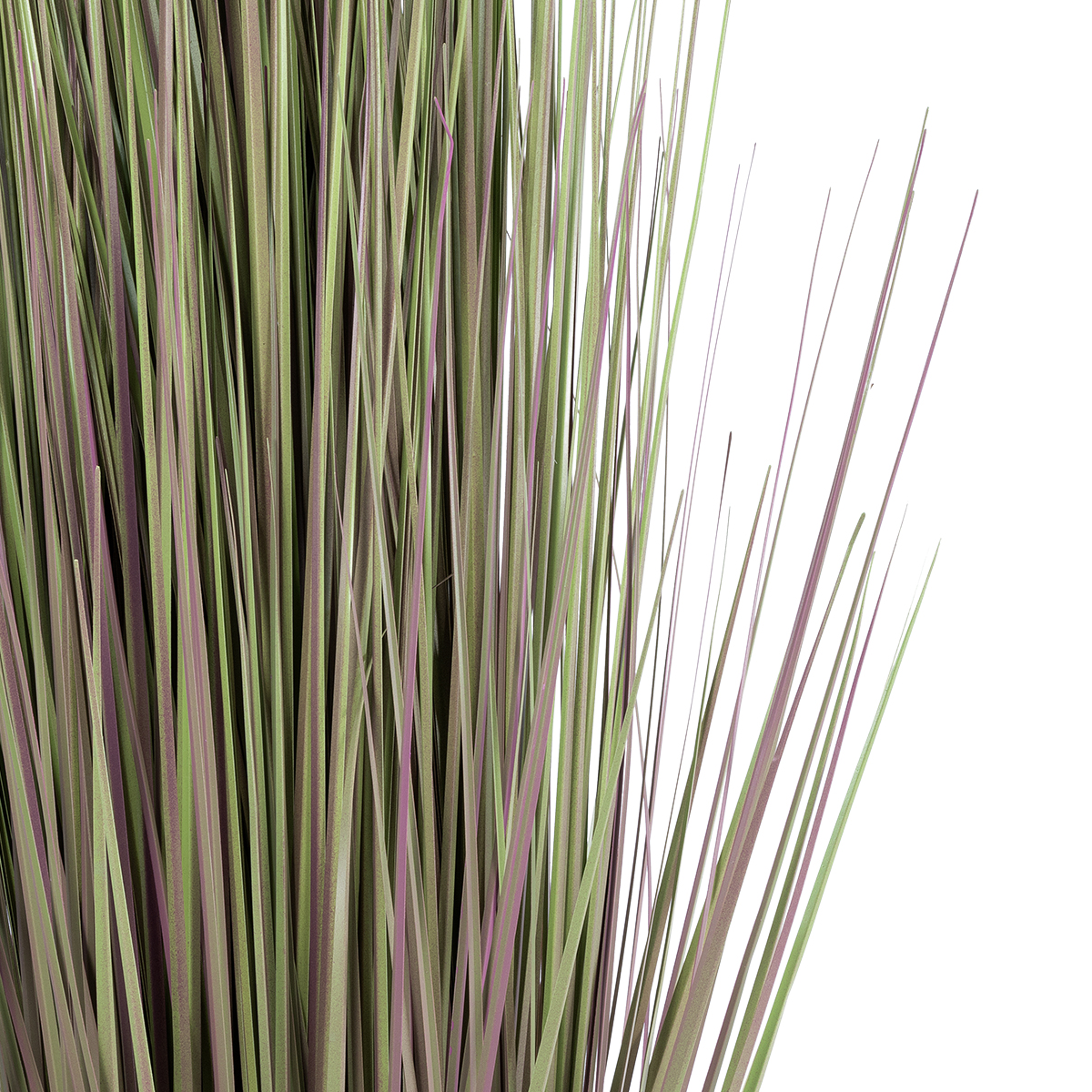 GloboStar® Artificial Garden BEIGE LAGURUS 21102 Διακοσμητικό Φυτό Μπεζ Λαγοουρά Υ140cm 5 GloboStar® Artificial Garden BEIGE LAGURUS 21102 Διακοσμητικό Φυτό Μπεζ Λαγοουρά Υ140cm - Image 3