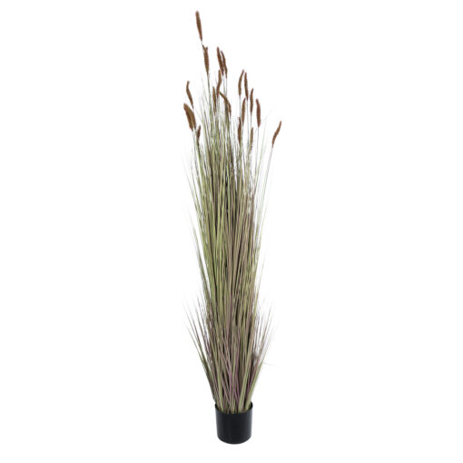 GloboStar® GloboStar® Artificial Garden BROWN LAGURUS 21103 Διακοσμητικό Φυτό Καφέ Λαγοουρά Υ180cm