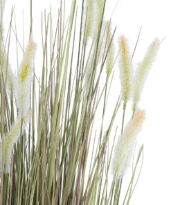 Alternative view of GloboStar® Artificial Garden BEIGE LAGURUS 21104 Διακοσμητικό Φυτό Μπεζ Λαγοουρά Υ180cm