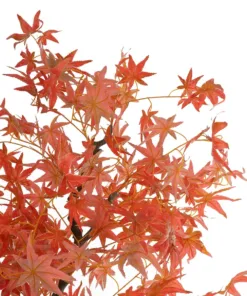Alternative view of GloboStar® Artificial Garden MAPLE TREE 21105 Τεχνητό Διακοσμητικό Δέντρο Σφένδαμος Μ80 x Π80 x Υ160cm