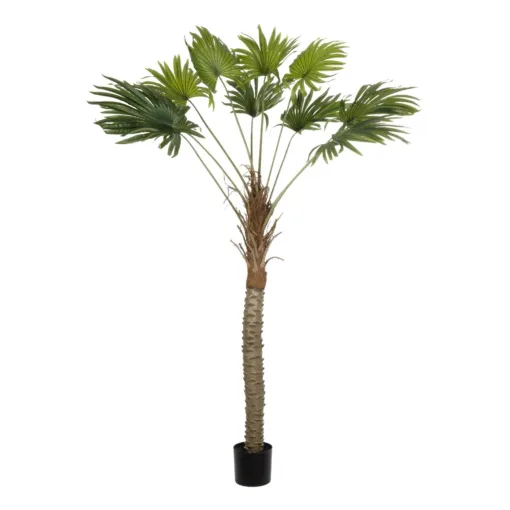 GloboStar® GloboStar® Artificial Garden WASHINGTONIA FILIFERA TREE 21107 Τεχνητό Διακοσμητικό Φοινικόδεντρου Υ200cm