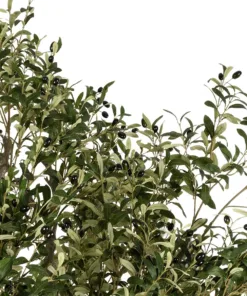 Alternative view of GloboStar® Artificial Garden OLIVE TREE 21112 Τεχνητό Διακοσμητικό Δέντρο Ελιά Υ220cm
