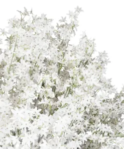 Alternative view of GloboStar® Artificial Garden ALMOND TREE 21114 Τεχνητό Διακοσμητικό Δέντρο Αμυγδαλιά Μ380 x Π380 x Υ300cm