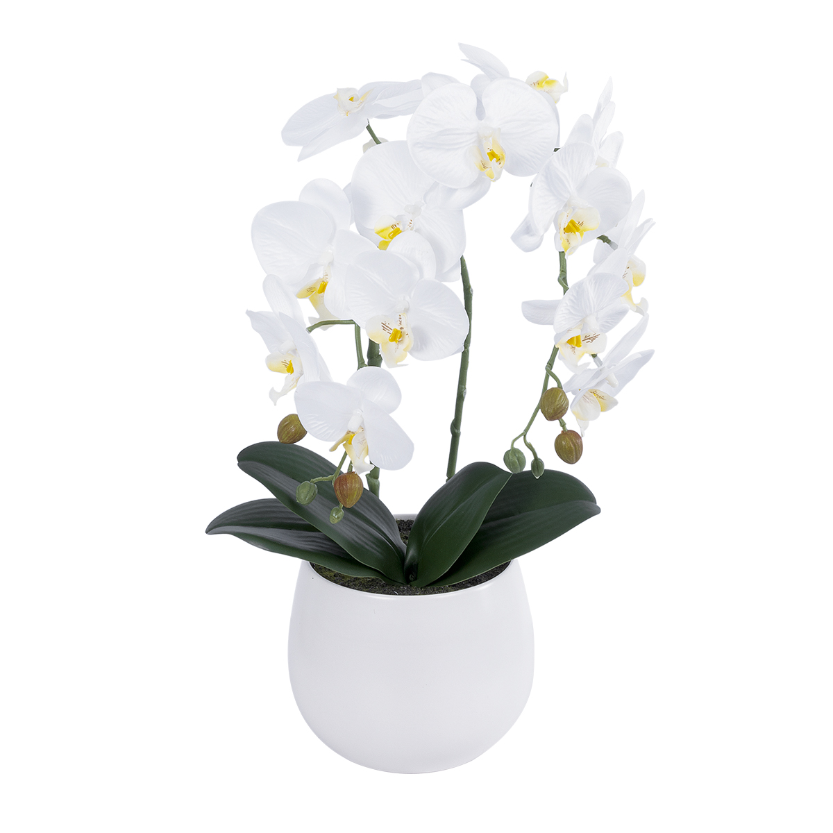 GloboStar® Artificial Garden WHITE ORCHID 21117 Διακοσμητικό Φυτό Λευκή Ορχιδέα Υ45cm 3 GloboStar® GloboStar® Artificial Garden WHITE ORCHID 21117 Διακοσμητικό Φυτό Λευκή Ορχιδέα Υ45cm