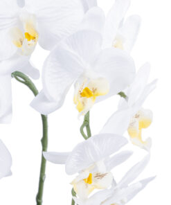 Alternative view of GloboStar® Artificial Garden WHITE ORCHID 21117 Διακοσμητικό Φυτό Λευκή Ορχιδέα Υ45cm