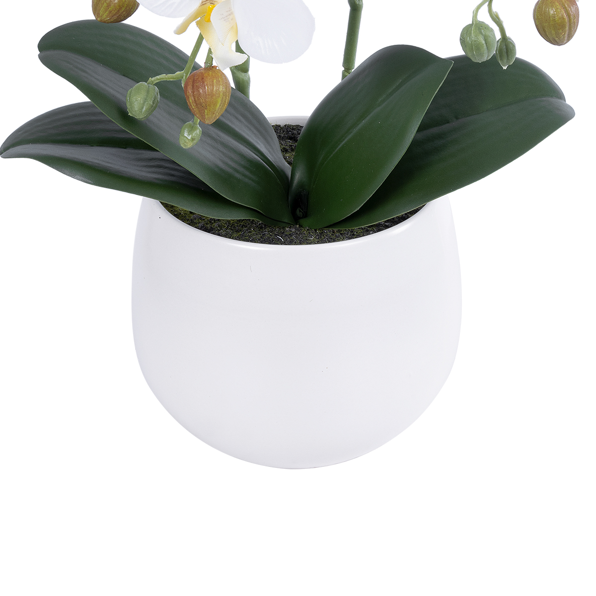 GloboStar® Artificial Garden WHITE ORCHID 21117 Διακοσμητικό Φυτό Λευκή Ορχιδέα Υ45cm 5 GloboStar® Artificial Garden WHITE ORCHID 21117 Διακοσμητικό Φυτό Λευκή Ορχιδέα Υ45cm - Image 3