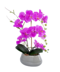 GloboStar® GloboStar® Artificial Garden HOT PINK ORCHID 21119 Διακοσμητικό Φυτό  Έντονο Ροζ Ορχιδέα Υ43cm