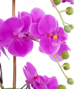 Alternative view of GloboStar® Artificial Garden HOT PINK ORCHID 21119 Διακοσμητικό Φυτό  Έντονο Ροζ Ορχιδέα Υ43cm