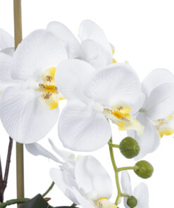 Alternative view of GloboStar® Artificial Garden WHITE ORCHID 21120 Διακοσμητικό Φυτό Λευκή Ορχιδέα Υ43cm