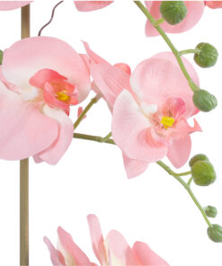 Alternative view of GloboStar® Artificial Garden SALMON PINK ORCHID 21122 Διακοσμητικό Φυτό Ροζ-Πορτοκαλί Ορχιδέα Υ43cm