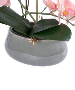 GloboStar® Artificial Garden SALMON PINK ORCHID 21122 Διακοσμητικό Φυτό Ροζ-Πορτοκαλί Ορχιδέα Υ43cm 9 21122 4