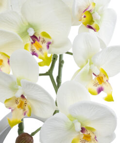 Alternative view of GloboStar® Artificial Garden WHITE ORCHID 21128 Διακοσμητικό Φυτό Λευκή Ορχιδέα Υ39cm