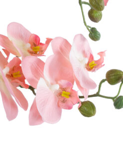 Alternative view of GloboStar® Artificial Garden SALMON PINK ORCHID 21129 Διακοσμητικό Φυτό Φούξια Ορχιδέα Υ43cm