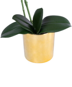 GloboStar® Artificial Garden SALMON PINK ORCHID 21129 Διακοσμητικό Φυτό Φούξια Ορχιδέα Υ43cm 9 21129 4