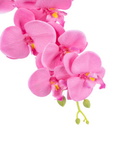 Alternative view of GloboStar® Artificial Garden  PINK ORCHID BRANCH 21131 Τεχνητό Διακοσμητικό Κλαδί Ορχιδέας Y85cm