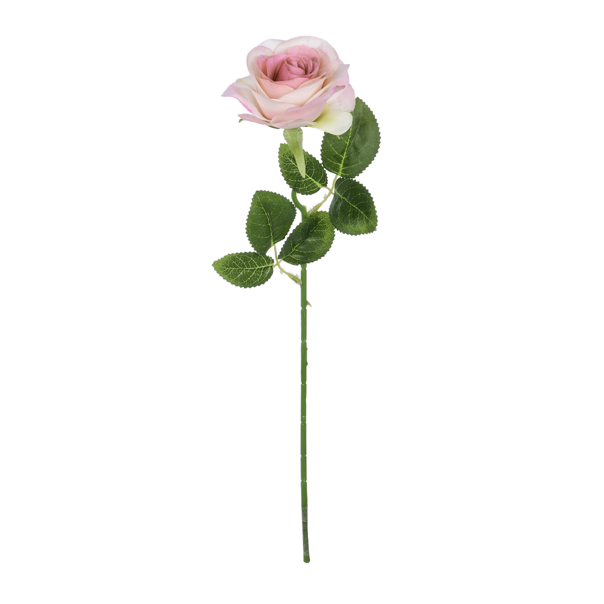 GloboStar® Artificial Garden LIGHT PINK ROSE BRANCH 21137 Τεχνητό Διακοσμητικό Κλαδί Ανοιχτό ΡοζΤριαντάφυλλο Y50cm 3 GloboStar® GloboStar® Artificial Garden LIGHT PINK ROSE BRANCH 21137 Τεχνητό Διακοσμητικό Κλαδί Ανοιχτό ΡοζΤριαντάφυλλο Y50cm