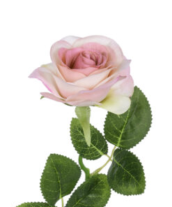 Alternative view of GloboStar® Artificial Garden LIGHT PINK ROSE  BRANCH 21137 Τεχνητό Διακοσμητικό Κλαδί Ανοιχτό ΡοζΤριαντάφυλλο Y50cm