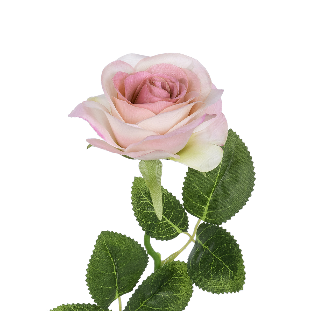GloboStar® Artificial Garden LIGHT PINK ROSE BRANCH 21137 Τεχνητό Διακοσμητικό Κλαδί Ανοιχτό ΡοζΤριαντάφυλλο Y50cm 4 GloboStar® Artificial Garden LIGHT PINK ROSE BRANCH 21137 Τεχνητό Διακοσμητικό Κλαδί Ανοιχτό ΡοζΤριαντάφυλλο Y50cm - Image 2