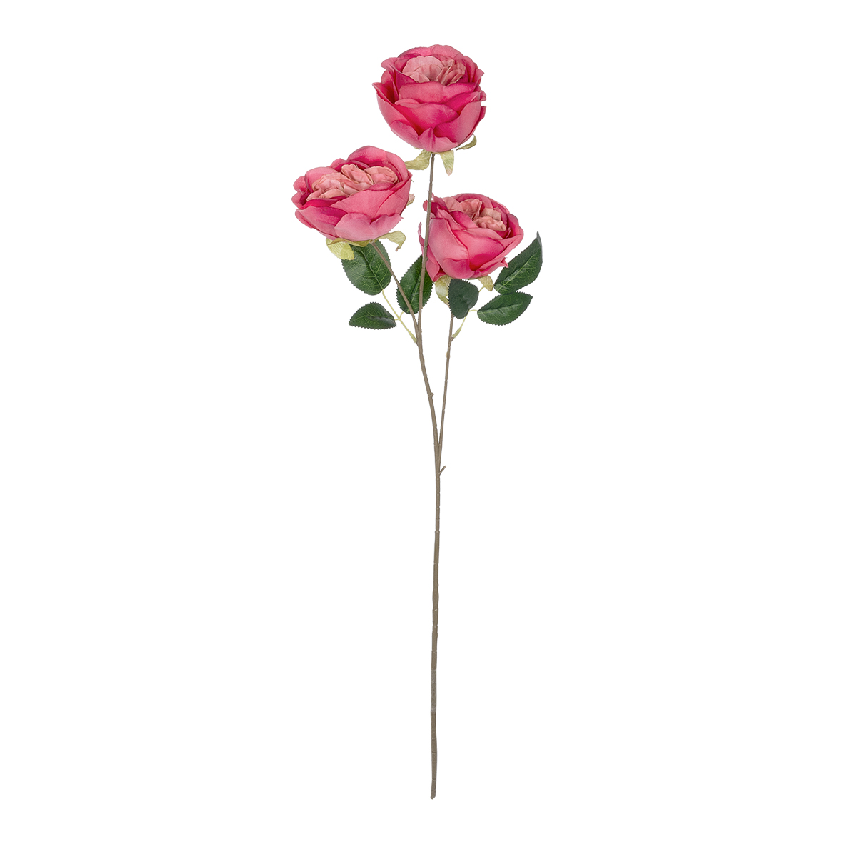 GloboStar® Artificial Garden HOT PINK ROSE BRANCH 21139 Τεχνητό Διακοσμητικό Κλαδί έντονο Ροζ Τριαντάφυλλο Y70cm 3 GloboStar® GloboStar® Artificial Garden HOT PINK ROSE BRANCH 21139 Τεχνητό Διακοσμητικό Κλαδί έντονο Ροζ Τριαντάφυλλο Y70cm