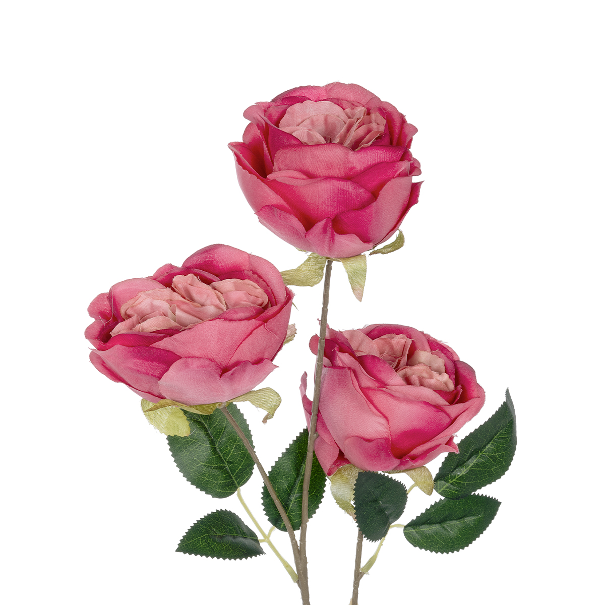 GloboStar® Artificial Garden HOT PINK ROSE BRANCH 21139 Τεχνητό Διακοσμητικό Κλαδί έντονο Ροζ Τριαντάφυλλο Y70cm 4 GloboStar® Artificial Garden HOT PINK ROSE BRANCH 21139 Τεχνητό Διακοσμητικό Κλαδί έντονο Ροζ Τριαντάφυλλο Y70cm - Image 2