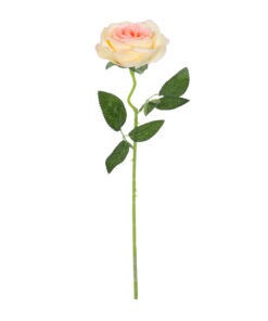 GloboStar® GloboStar® Artificial Garden CHAMPAGNE ROSE BRANCH 21141 Τεχνητό Διακοσμητικό Κλαδί Σαμπανιζέ Τριαντάφυλλο Y50cm