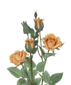 Alternative view of GloboStar® Artificial Garden SALMON ROSE BRANCH 21149 Τεχνητό Διακοσμητικό Κλαδί Σαμπανιζέ Τριαντάφυλλο Y65cm