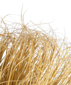 Alternative view of GloboStar® Artificial Garden GRASS BUSH PLANT 21165 Τεχνητό Διακοσμητικό Φυτό Θάμνος Grass Π50cm Y30cm