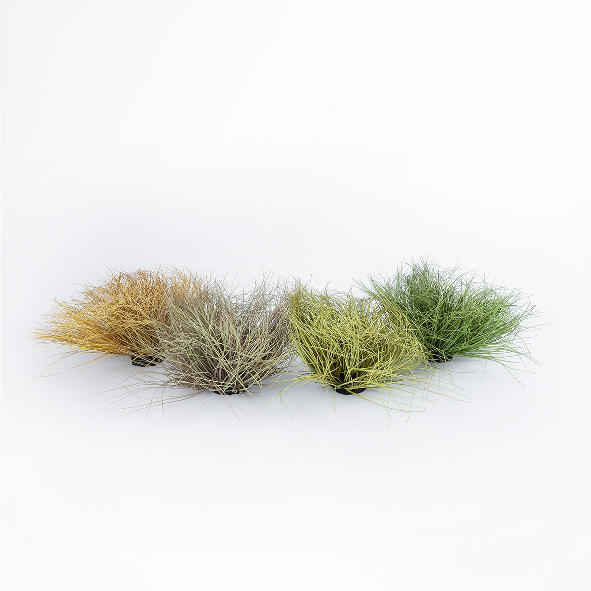 GloboStar® Artificial Garden GRASS BUSH PLANT 21165 Τεχνητό Διακοσμητικό Φυτό Θάμνος Grass Π50cm Y30cm 5 GloboStar® Artificial Garden GRASS BUSH PLANT 21165 Τεχνητό Διακοσμητικό Φυτό Θάμνος Grass Π50cm Y30cm - Image 3