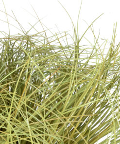 GloboStar® Artificial Garden GRASS BUSH PLANT 21166 Τεχνητό Διακοσμητικό Φυτό Θάμνος Grass Π50cm Y30cm 8 21166 3