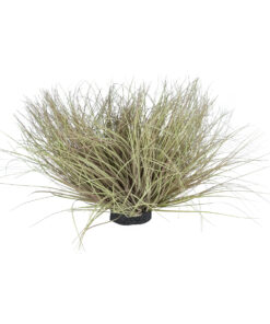 GloboStar® GloboStar® Artificial Garden GRASS BUSH PLANT 21167 Τεχνητό Διακοσμητικό Φυτό Θάμνος Grass Π50cm Y30cm