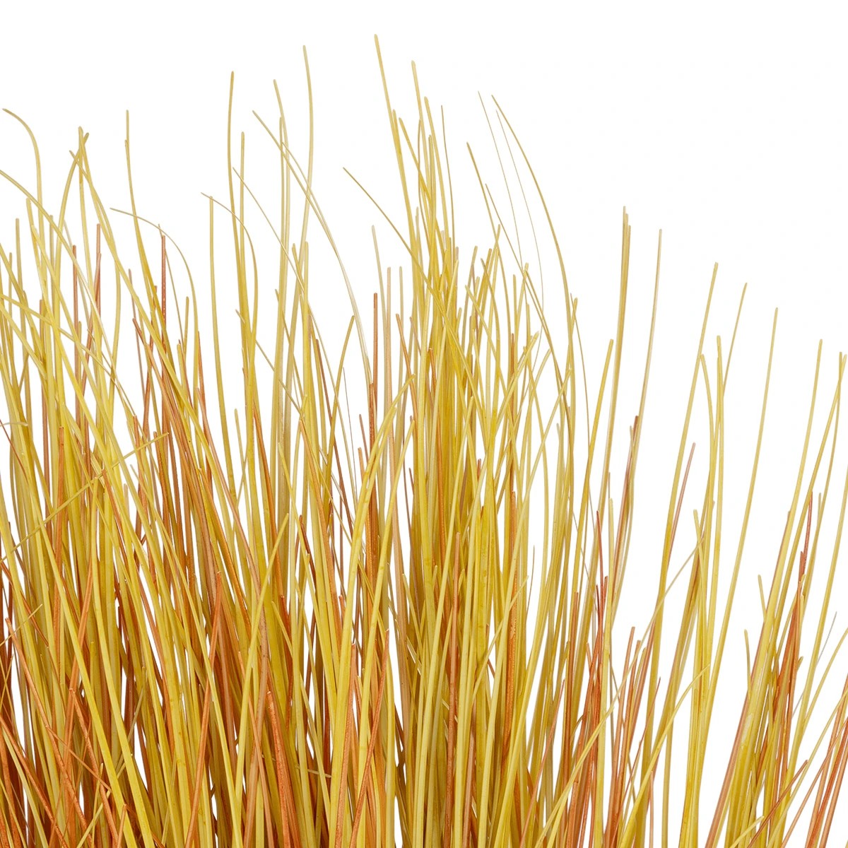 GloboStar® Artificial Garden GRASS BUSH 21171 Τεχνητό Διακοσμητικό Φυτό Θάμνος Γρασίδι Μ30 x Π20 x Υ65cm 3 GloboStar® Artificial Garden GRASS BUSH 21171 Τεχνητό Διακοσμητικό Φυτό Θάμνος Γρασίδι Μ30 x Π20 x Υ65cm - Image 2