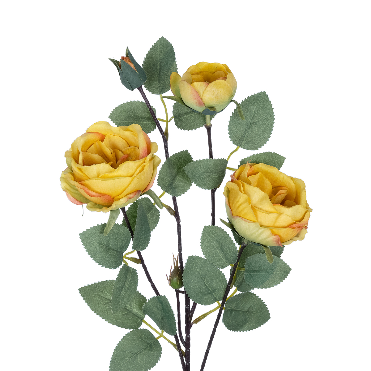 GloboStar® Artificial Garden YELLOW CLIMBING ROSE BRANCH 21186 Τεχνητό Διακοσμητικό Κλαδί Τριαντάφυλλο Κίτρινο Y70cm 4 GloboStar® Artificial Garden YELLOW CLIMBING ROSE BRANCH 21186 Τεχνητό Διακοσμητικό Κλαδί Τριαντάφυλλο Κίτρινο Y70cm - Image 2