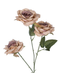 Alternative view of GloboStar® Artificial Garden OLD PINK CLIMBING ROSE BRANCH 21190 Τεχνητό Διακοσμητικό Κλαδί Τριαντάφυλλο Ξεθωριασμένο Ροζ Y66cm