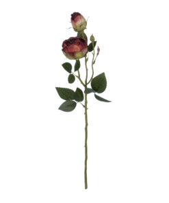 GloboStar® GloboStar® Artificial Garden RED DAMASK CLIMBING ROSE BRANCH 21197 Τεχνητό Διακοσμητικό Κλαδί Τριαντάφυλλο Κόκκινο Y55cm