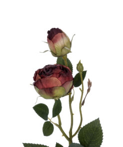 Alternative view of GloboStar® Artificial Garden RED DAMASK CLIMBING ROSE BRANCH 21197 Τεχνητό Διακοσμητικό Κλαδί Τριαντάφυλλο Κόκκινο Y55cm